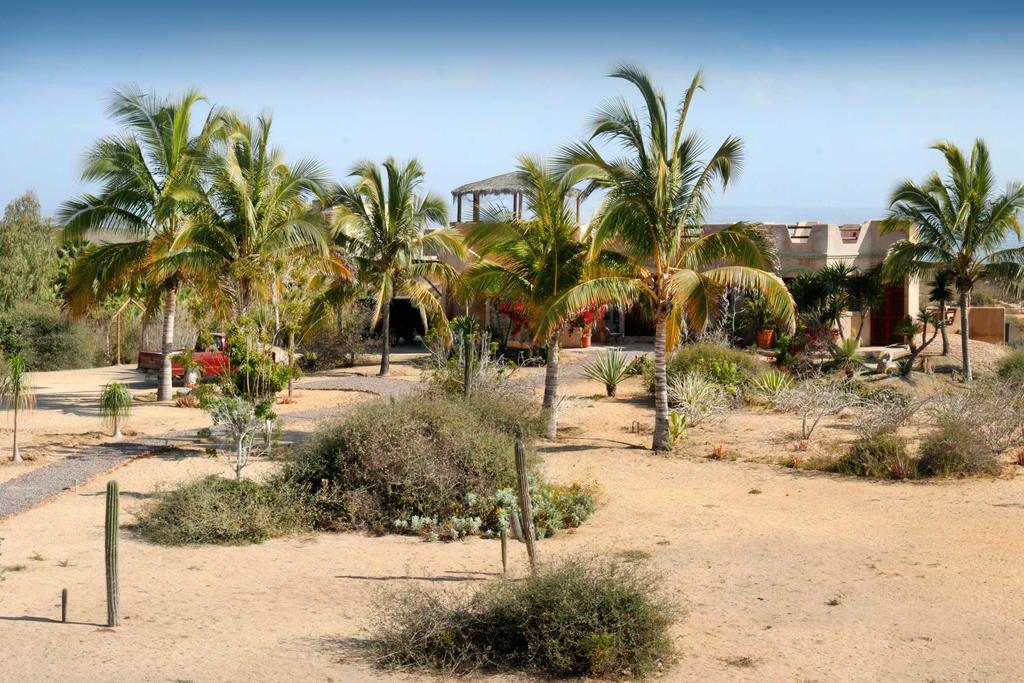 Flora Del Mar Ξενοδοχείο Todos Santos Εξωτερικό φωτογραφία