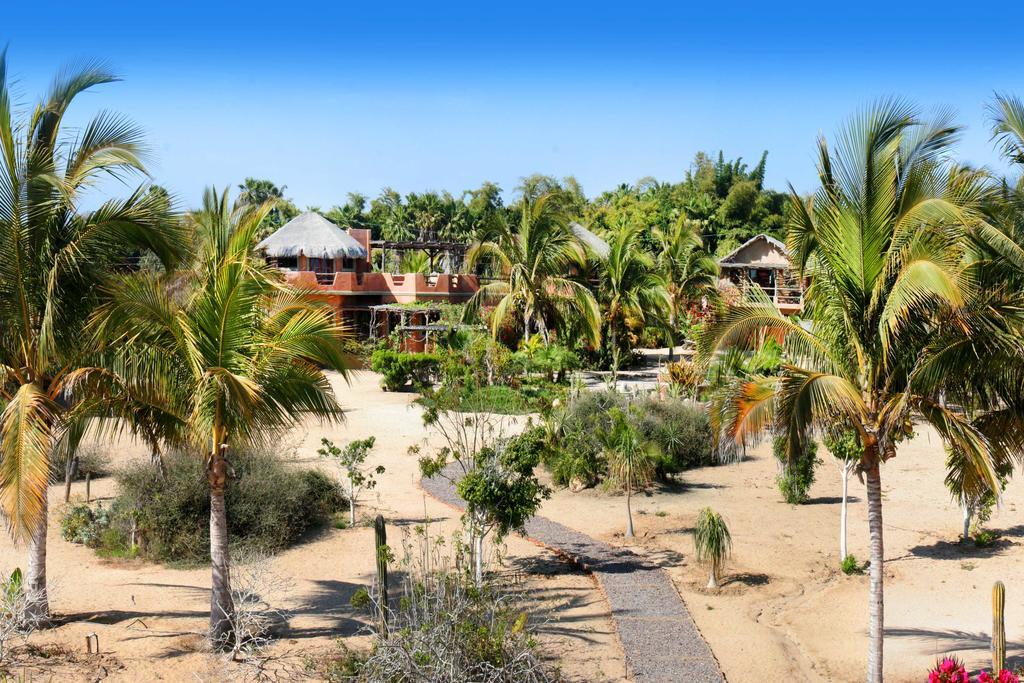 Flora Del Mar Ξενοδοχείο Todos Santos Εξωτερικό φωτογραφία
